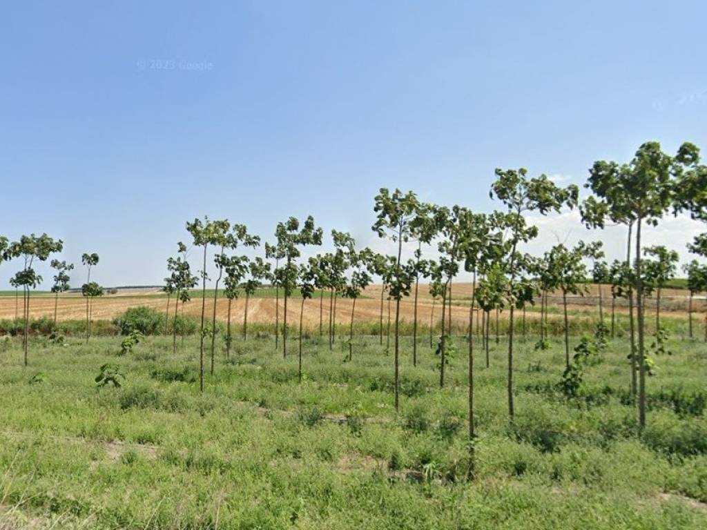 Terreno a Manfredonia in Località SANTA TECCHIA - Foto 3