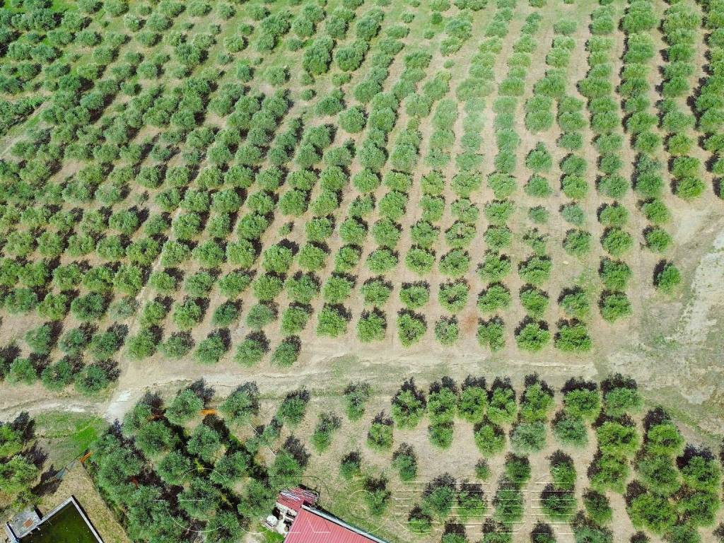 Terreno a Castiglione del lago in Vicolo Camillo Benso di Cavour - Foto 5