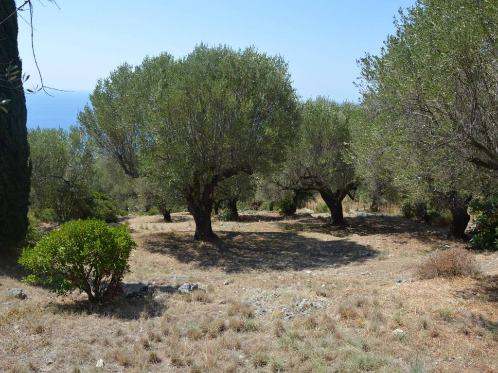 Villa a Camerota in Via Monte di Luna - Foto 4