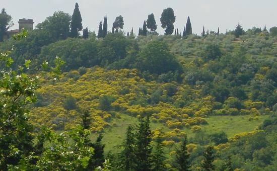 Appartamento a Spoleto in Frazione Uncinano - Foto 2