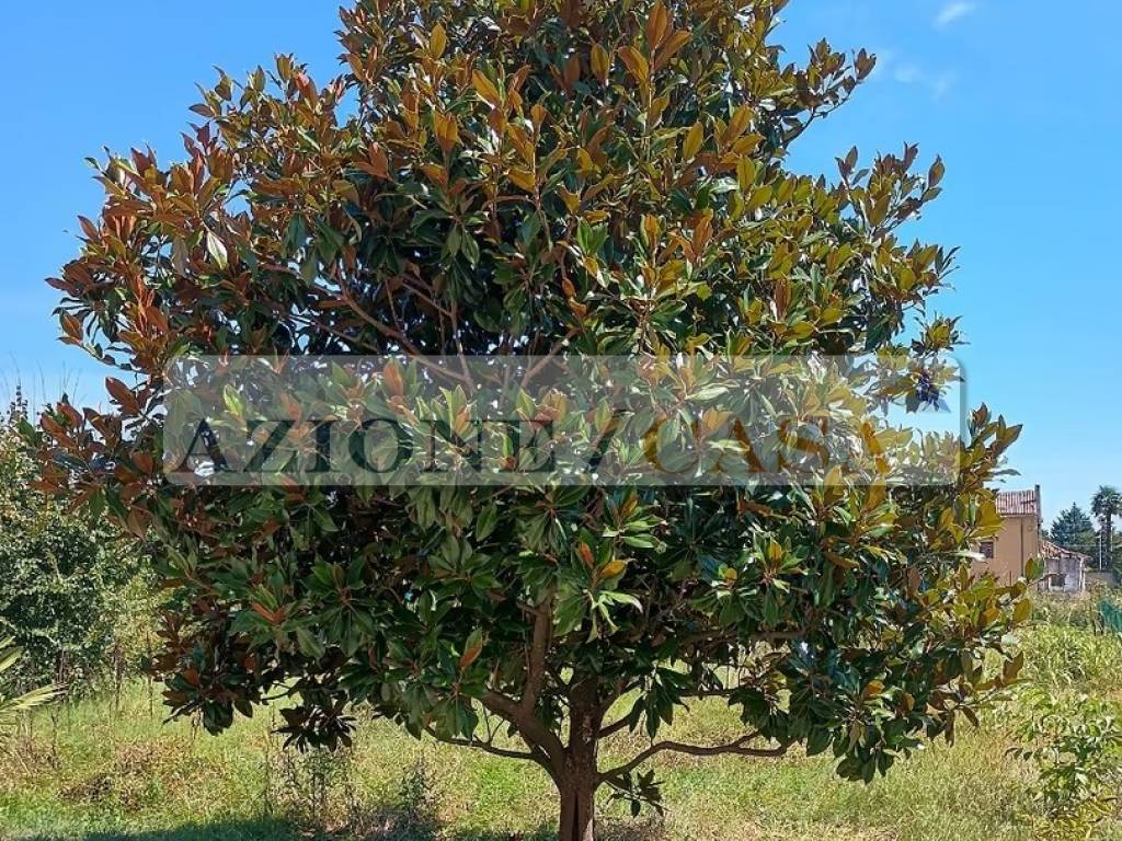 Terreno a Visco in Via Fornace - Foto 3