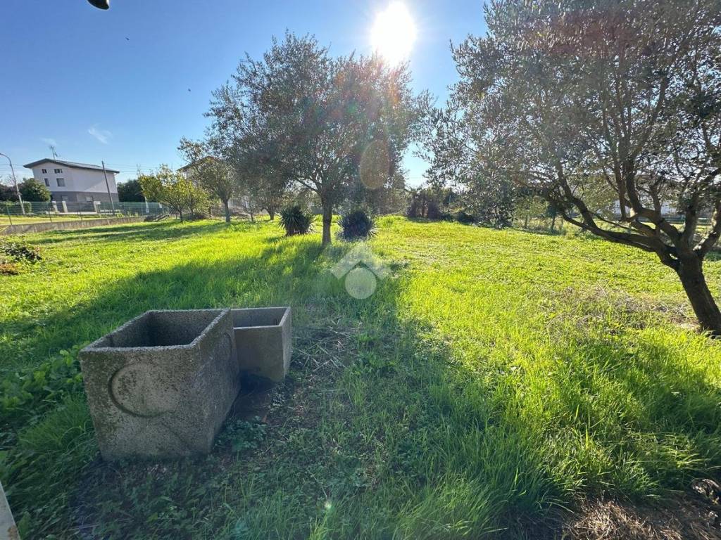 Rustico / casale a Pozzuolo del friuli in Via Lavariano, 28 - Foto 5