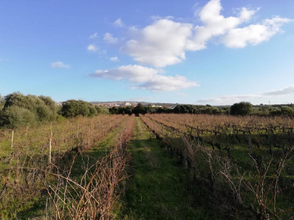Terreno a Sorso in Strada Statale dell'Anglona - Foto 2