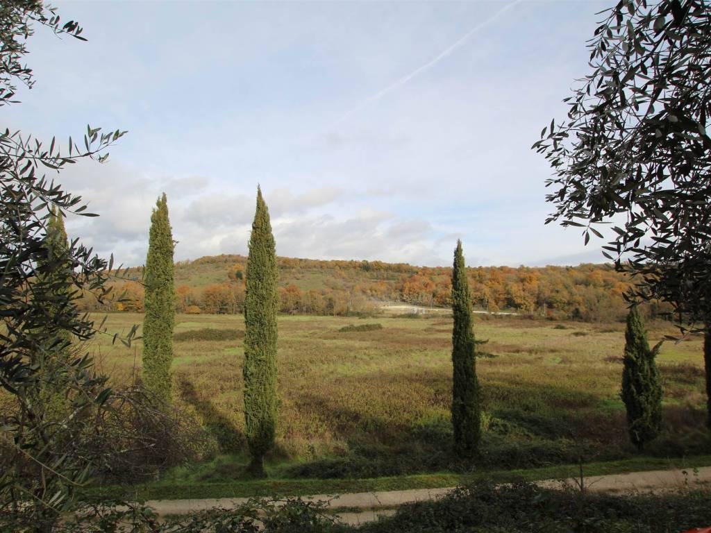 Rustico / casale a Castelnuovo berardenga in ARCENO - Foto 5