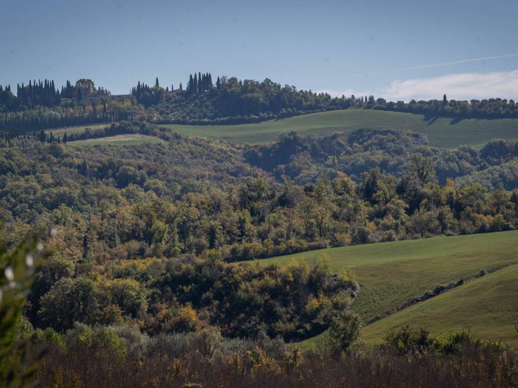 Rustico / casale a Asciano in Strada Provinciale di Monte Oliveto - Foto 5