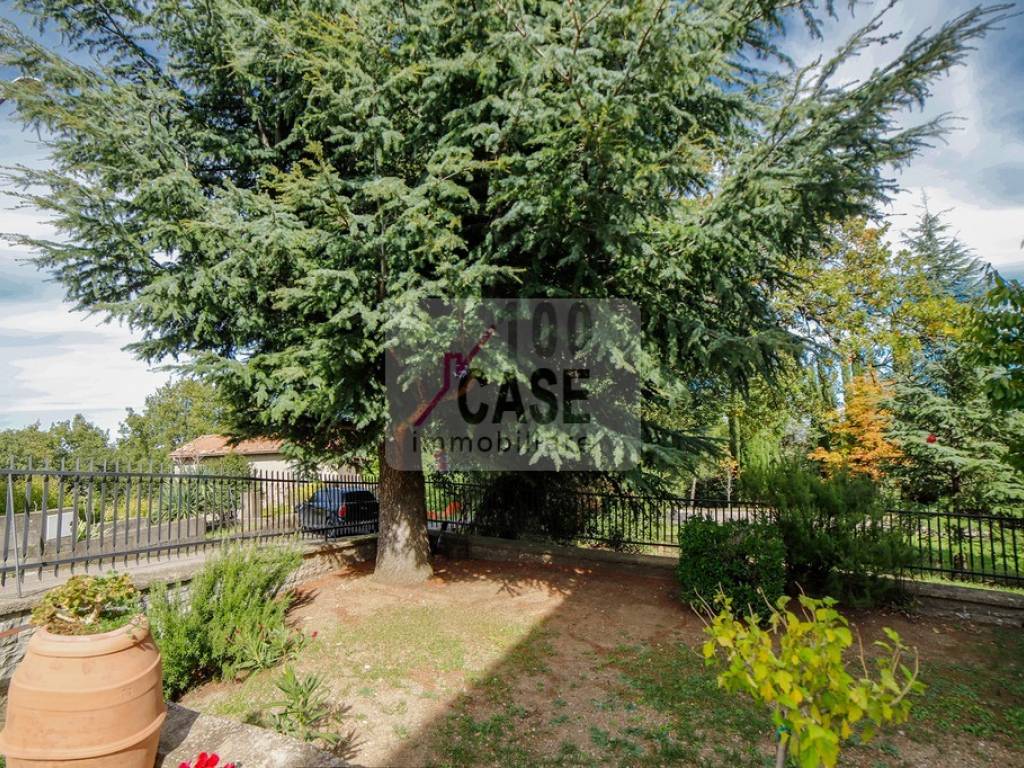 Appartamento a Abbadia san salvatore in Via Italia - Foto 2