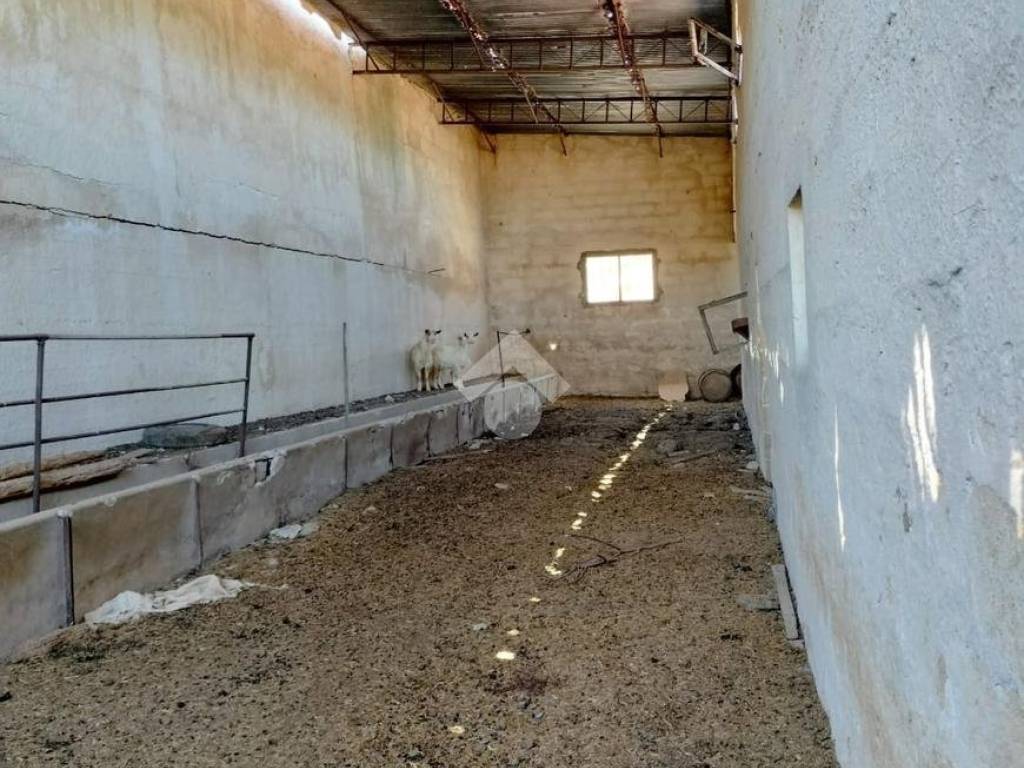 Immobile a Custonaci in via cofano - Foto 3