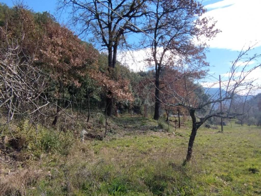 Rustico / casale a Sant'elia fiumerapido in Via Castello - Foto 3