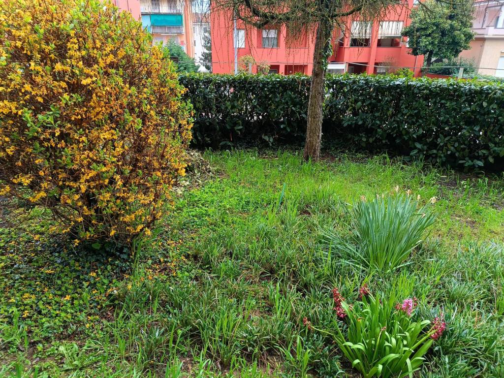 Appartamento a Casale monferrato in Via Avvocato Vittorio Dardano - Foto 3