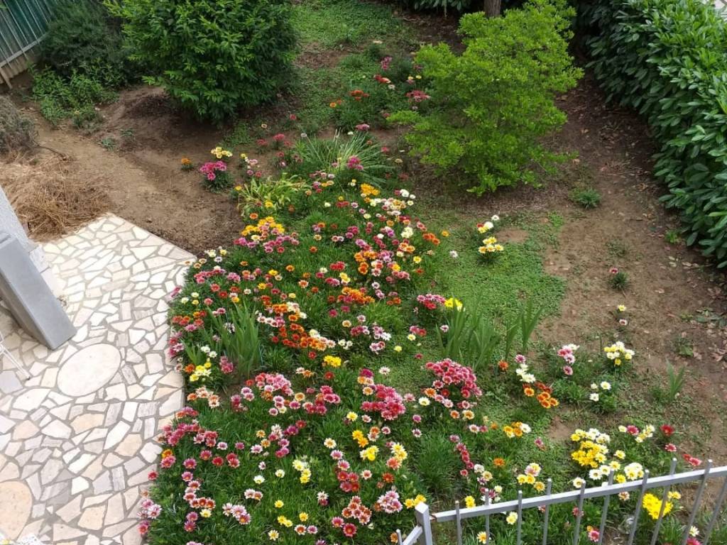 Appartamento a Casale monferrato in Via Avvocato Vittorio Dardano - Foto 5