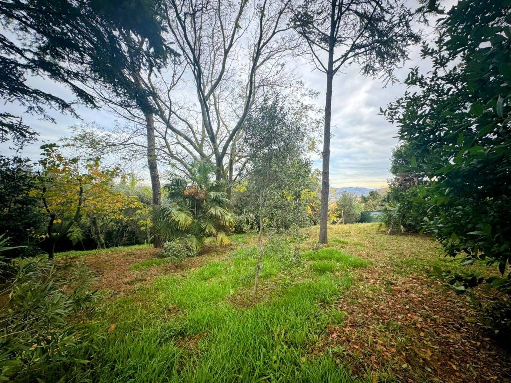 Terreno a Gradara - Foto 3