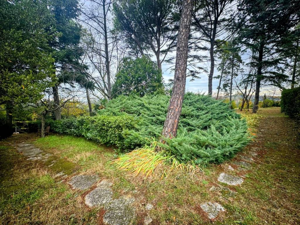 Terreno a Gradara - Foto 5