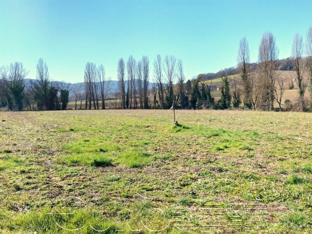 Terreno a Montone in Zona Bacciana - Foto 5