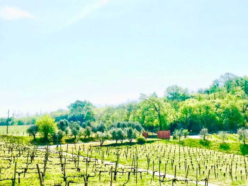 Appartamento a Erbusco - Foto 4