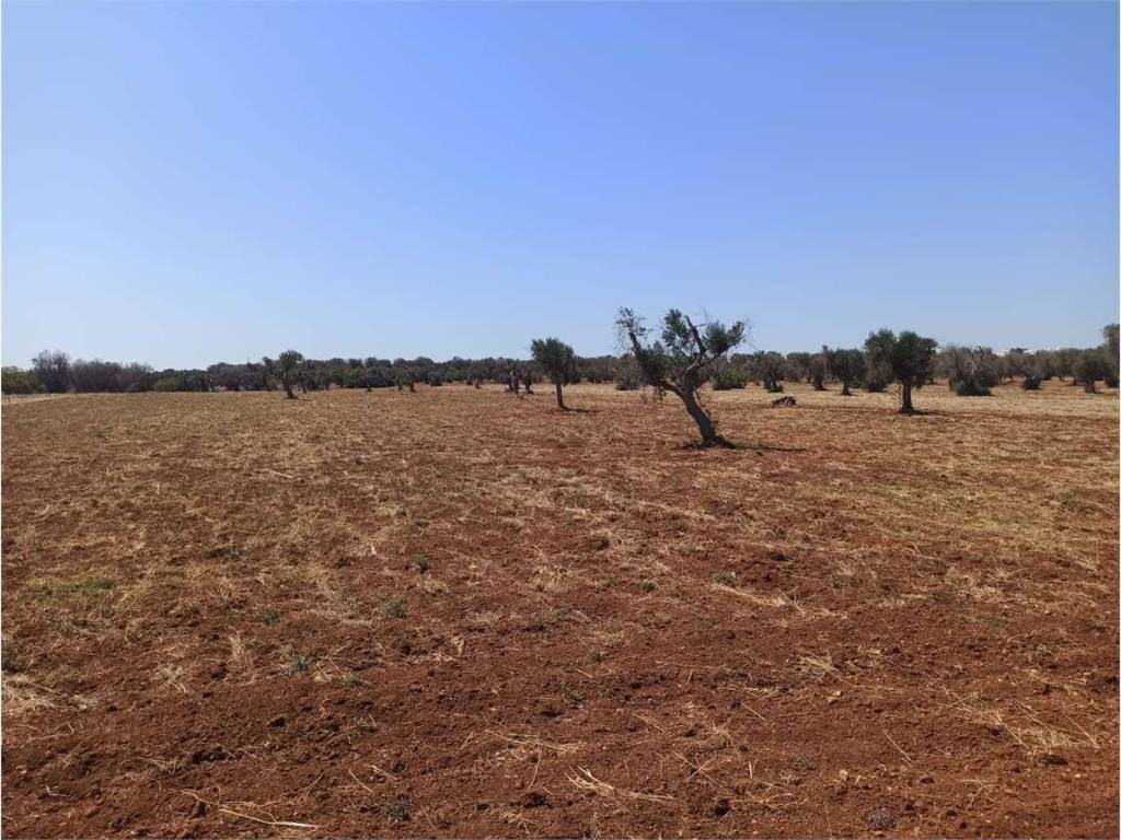 Terreno a Carovigno - Foto 2