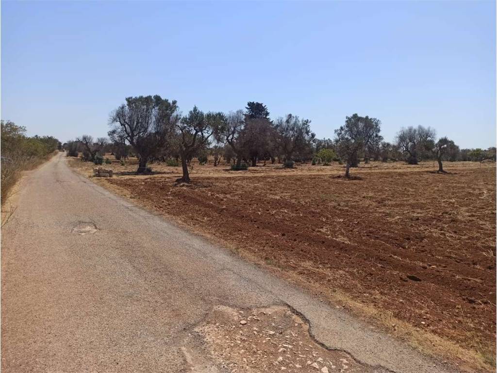 Terreno a Carovigno - Foto 4