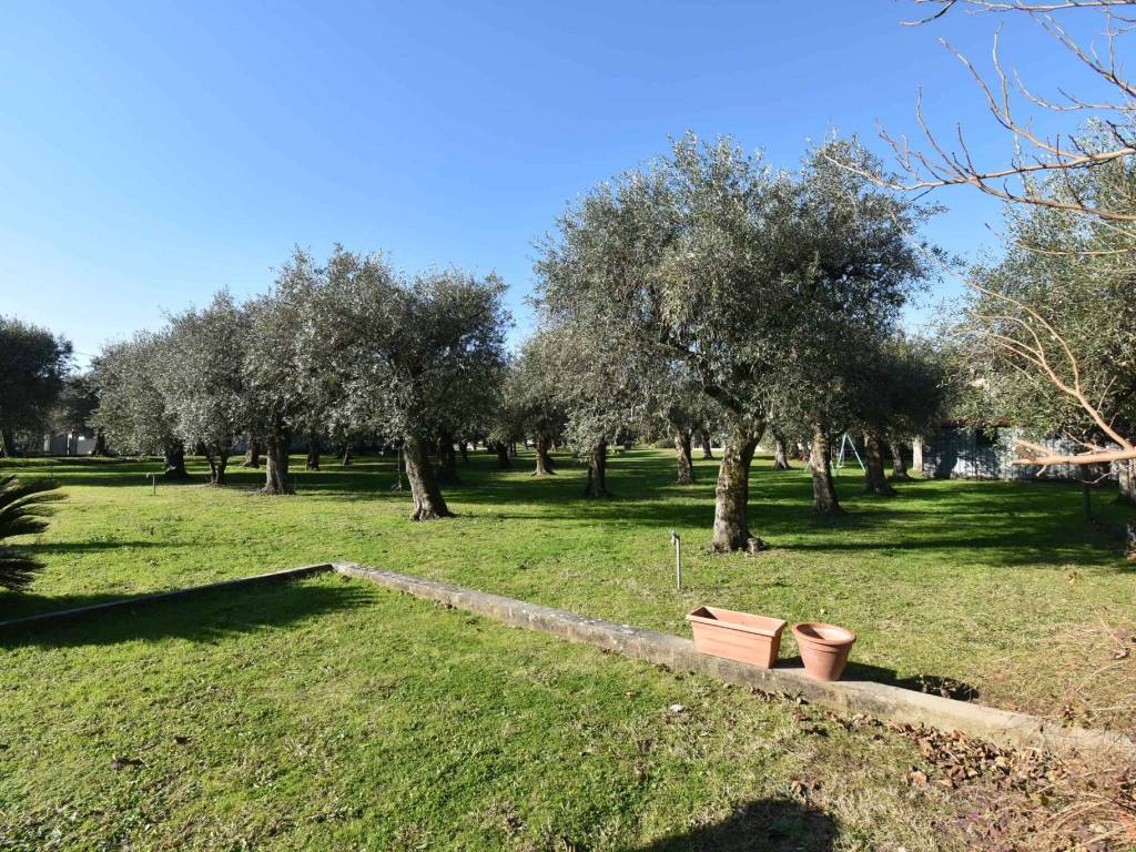 Villa a Seravezza in Piazza Fratelli Cervi, 7 - Foto 3