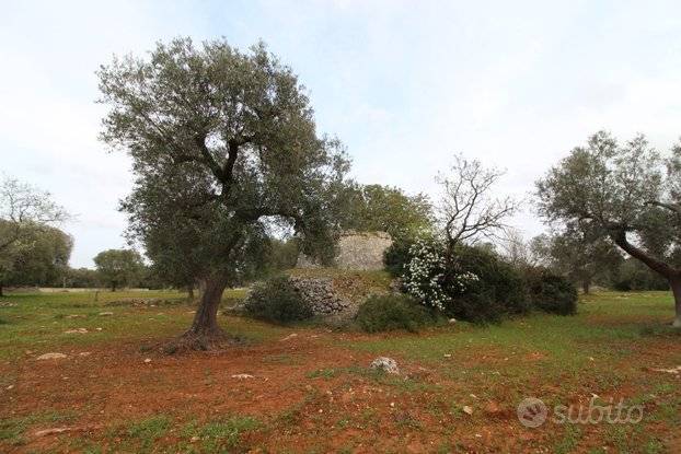 Terreno a Grottaglie - Foto 2