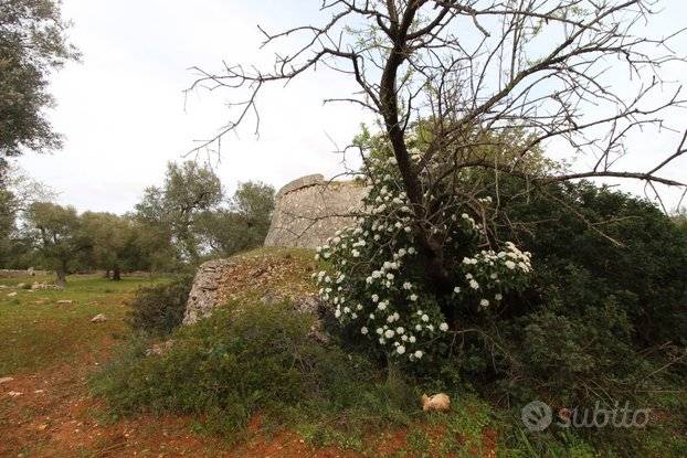 Terreno a Grottaglie - Foto 3