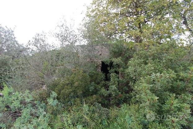 Terreno a Grottaglie - Foto 4