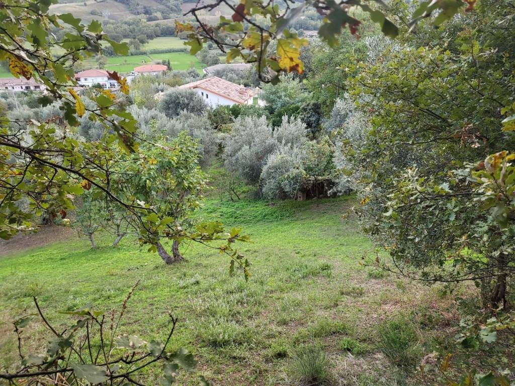 Terreno a Montalto uffugo in Via Lucchetta, 183 - Foto 3