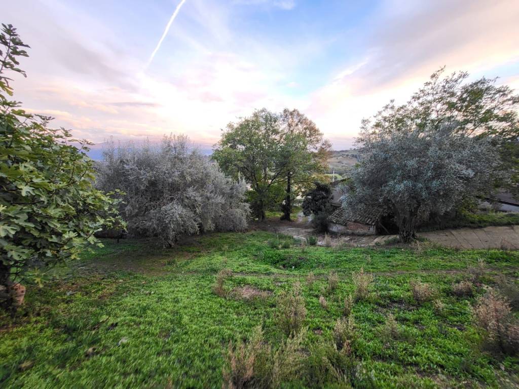 Terreno a Montalto uffugo in Via Lucchetta, 183 - Foto 5