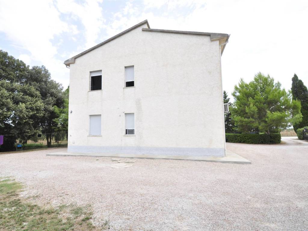 Rustico / casale a Piombino - Foto 4