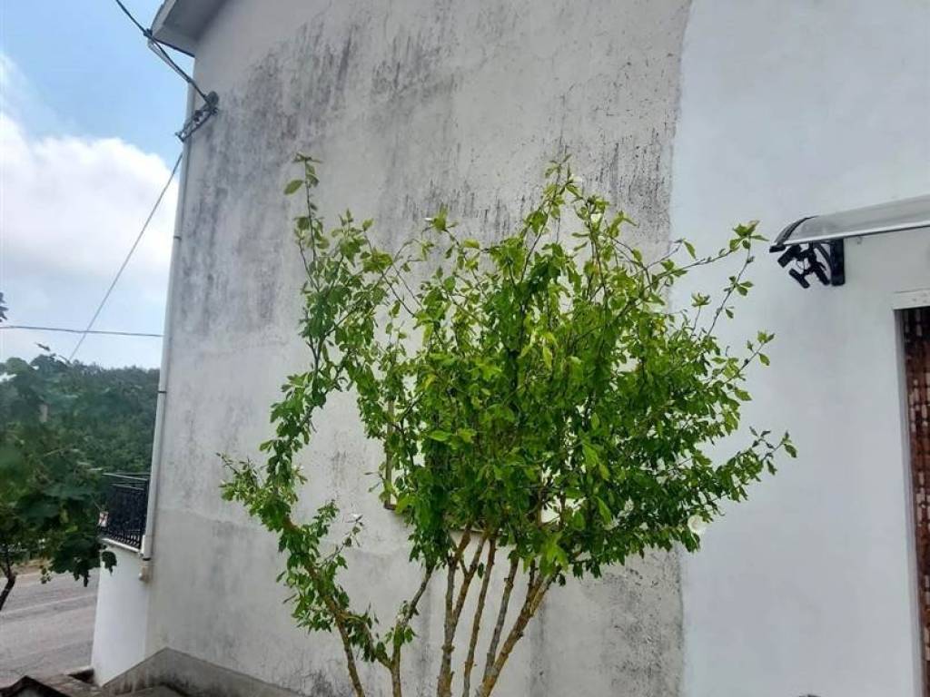 Casa indipendente a Tornareccio in Via Alcide de Gasperi, 48 - Foto 2