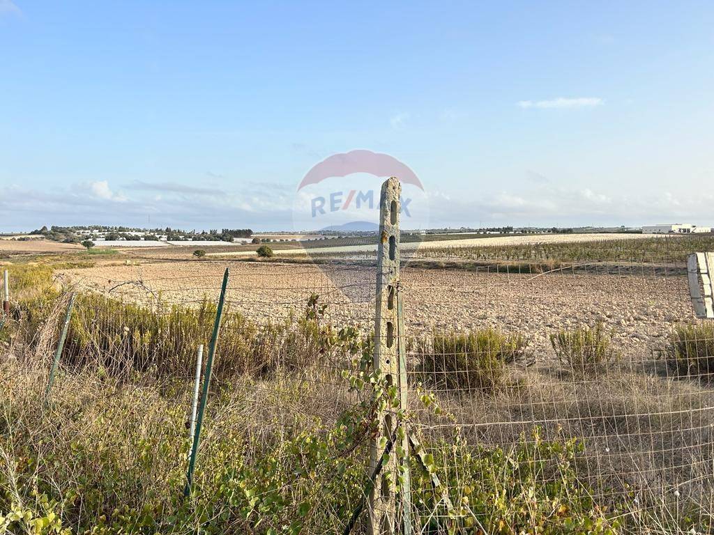 Terreno a Noto in Contrada Morsentini - Foto 2