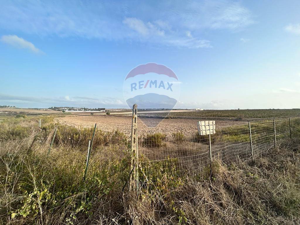 Terreno a Noto in Contrada Morsentini - Foto 3