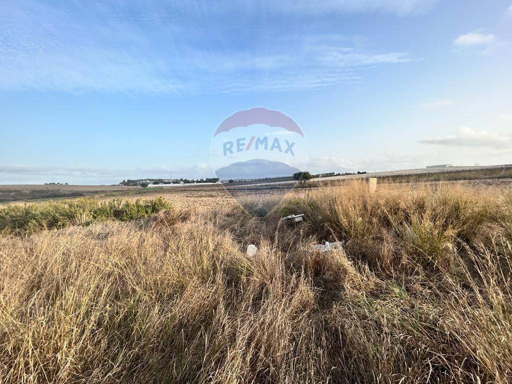 Terreno a Noto in Contrada Morsentini - Foto 4