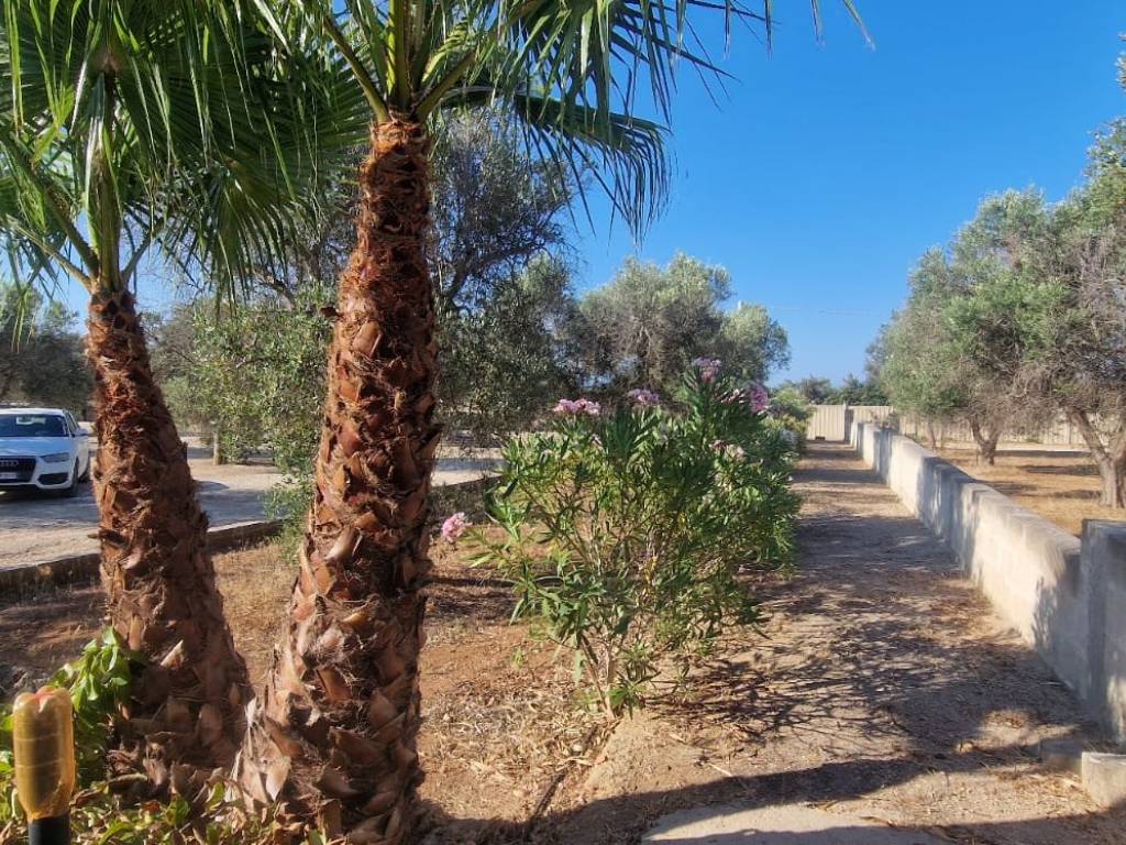 Villa a Porto cesareo in via scalcione - Foto 2