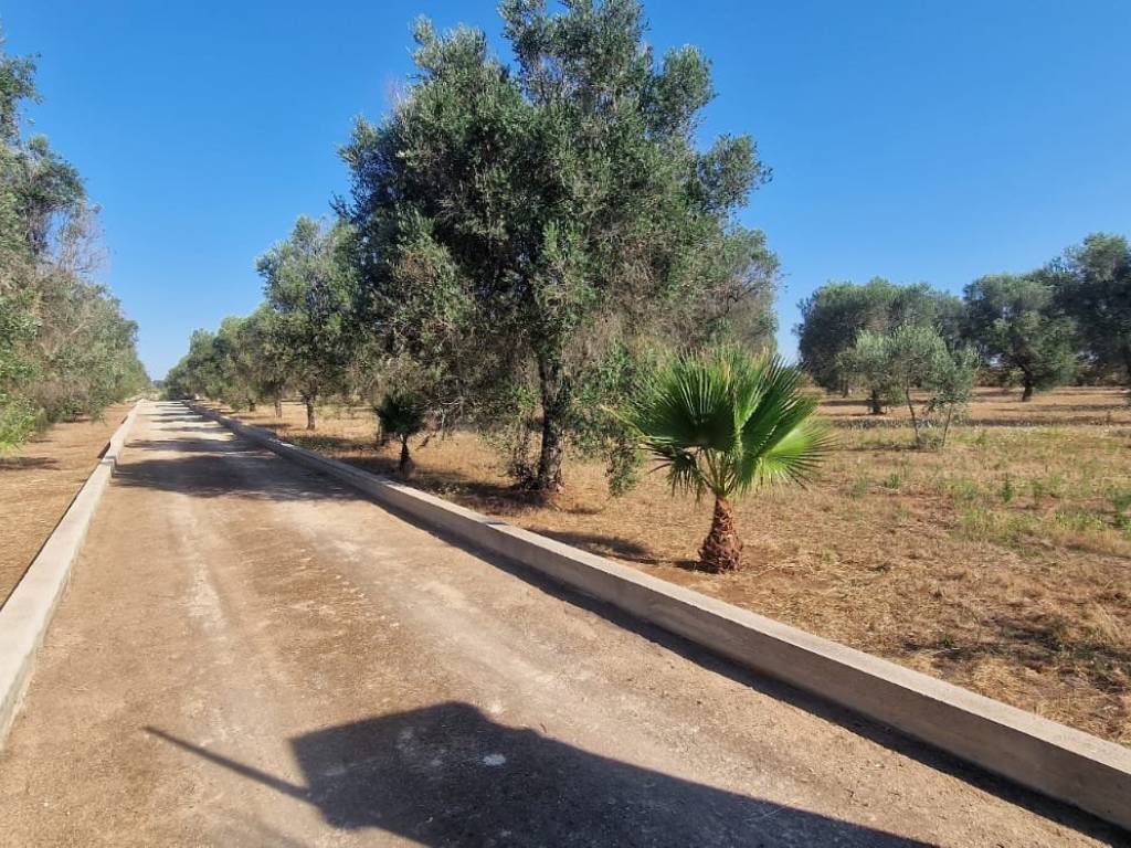 Villa a Porto cesareo in via scalcione - Foto 5