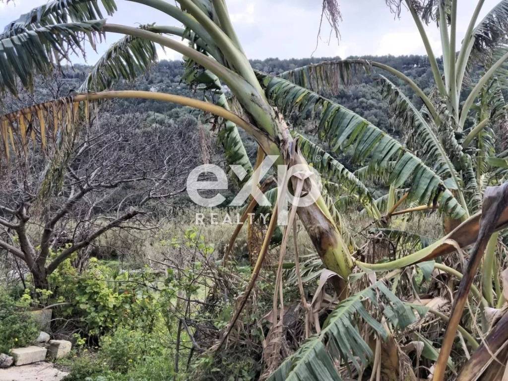 Casa indipendente a Scicli - Foto 3