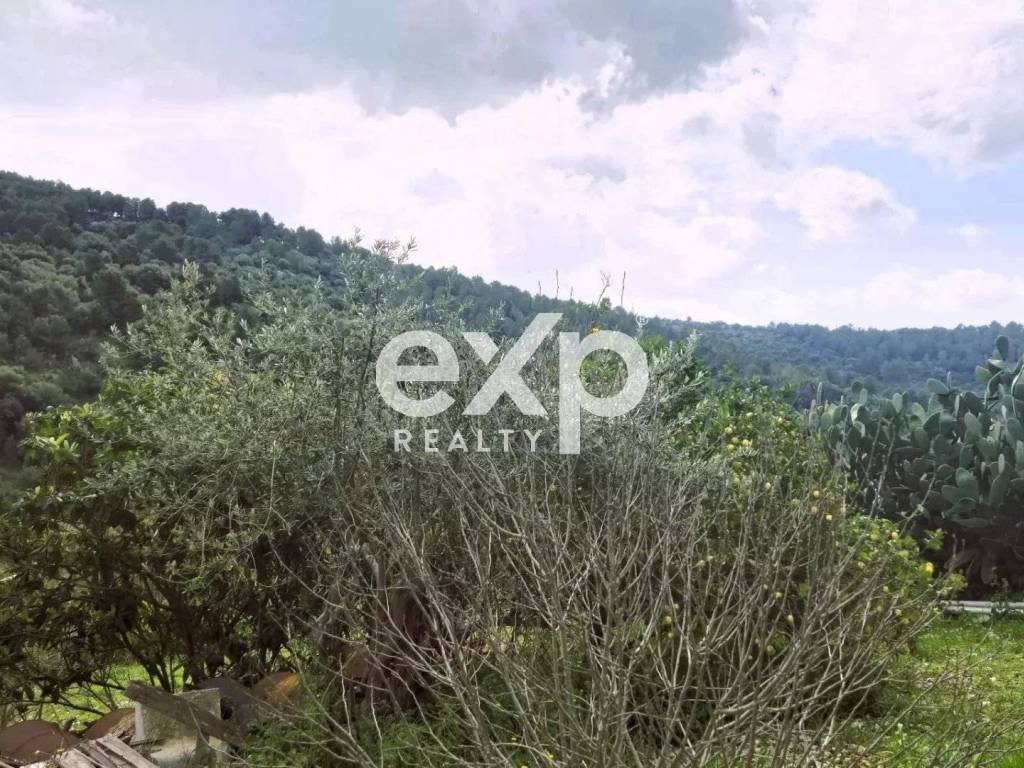 Casa indipendente a Scicli - Foto 4