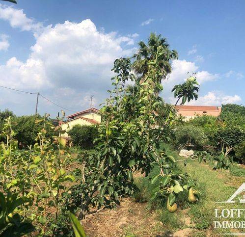 Terreno a Acerra in Via Palmentella - Foto 2