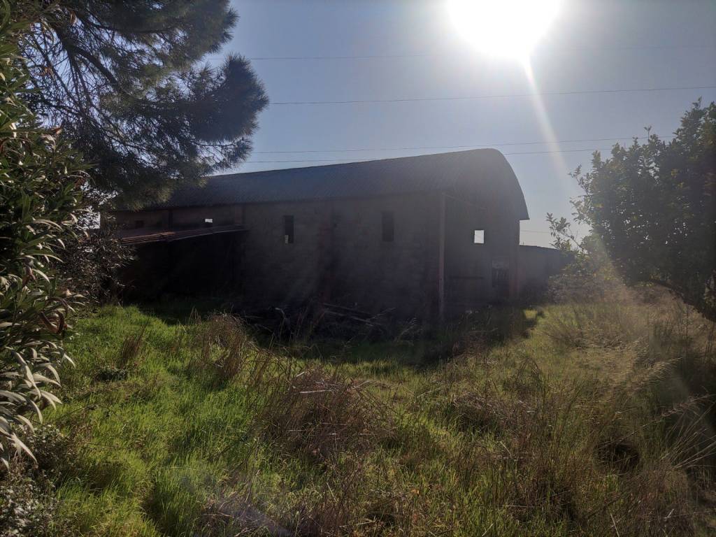 Immobile a Castagneto carducci in Località Osteria Vecchia - Foto 3