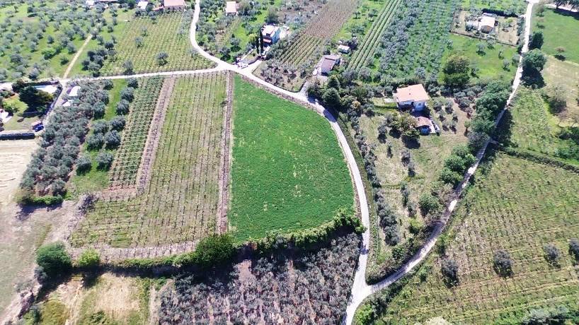 Terreno a Ortona - Foto 4