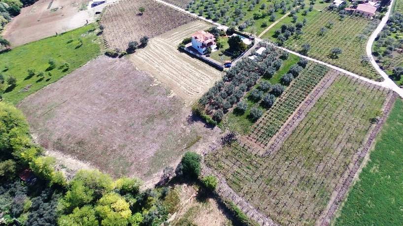 Terreno a Ortona - Foto 5