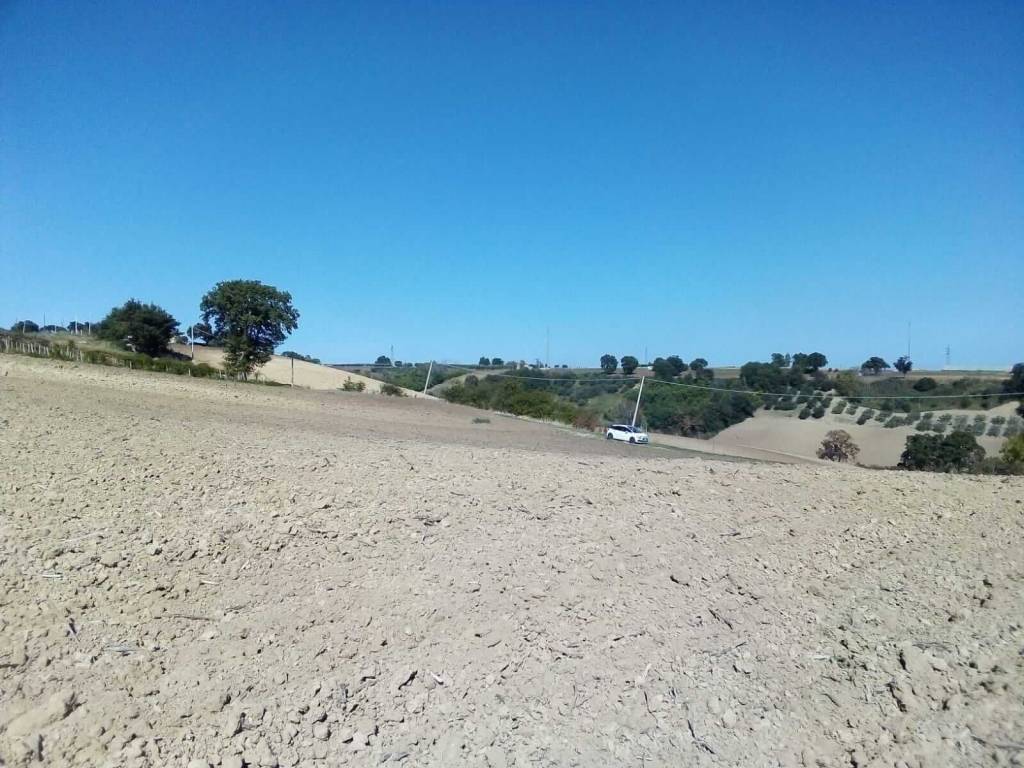 Terreno a Guglionesi - Foto 2