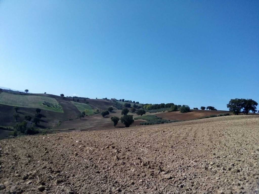 Terreno a Guglionesi - Foto 3