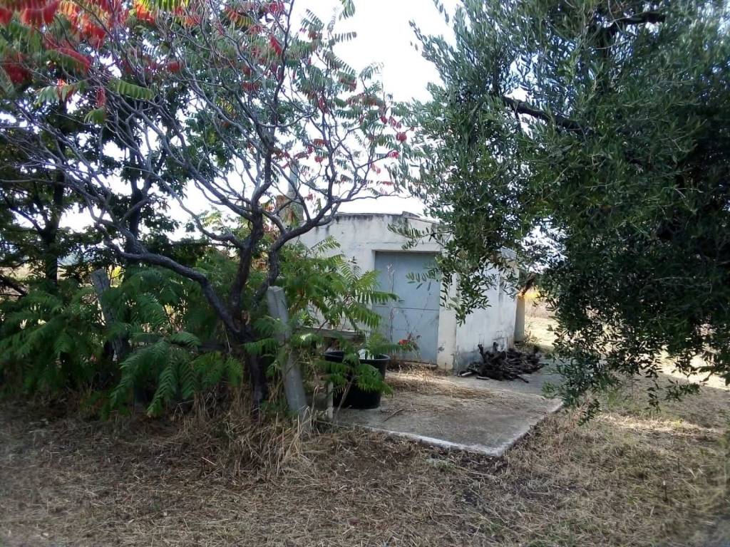 Terreno a Guglionesi - Foto 4