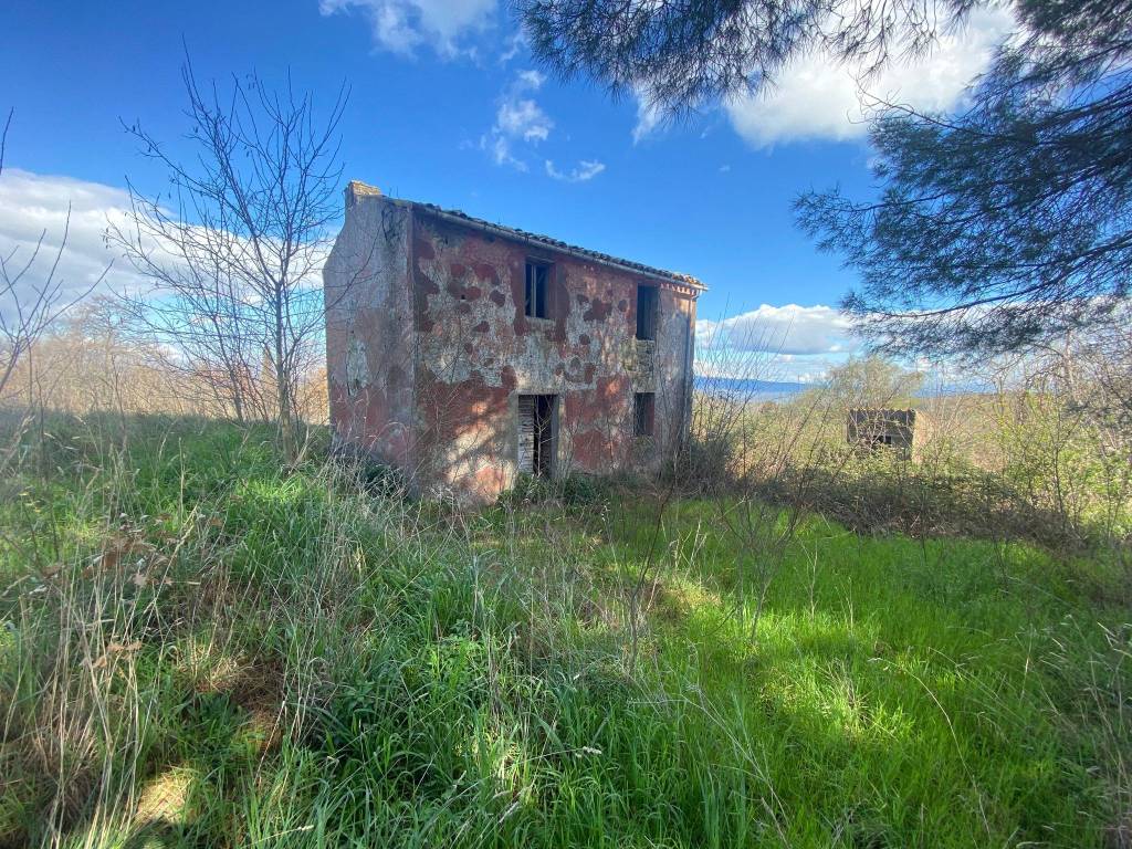 Rustico / casale a Bagnoregio in Via Don B. Cecchetti - Foto 3