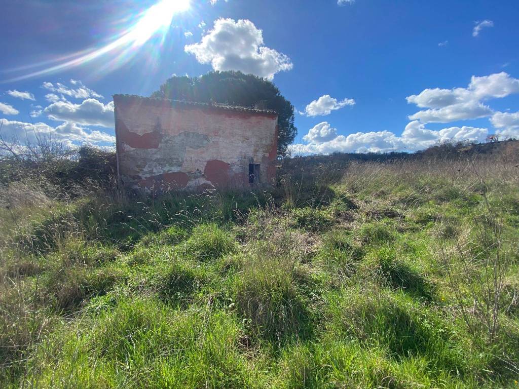 Rustico / casale a Bagnoregio in Via Don B. Cecchetti - Foto 4
