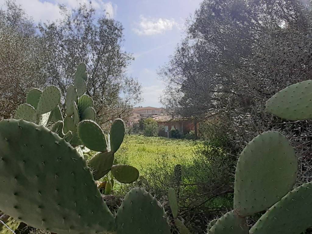 Terreno a Arzachena in Via Tiziano, 20 - Foto 4