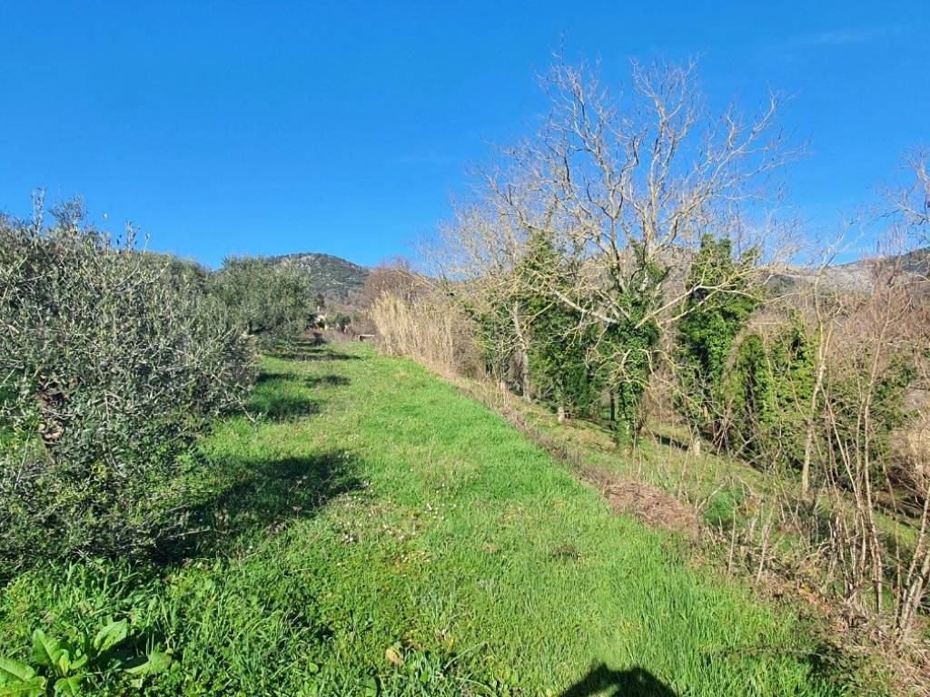Rustico / casale a Palestrina in Via Agliano - Foto 3