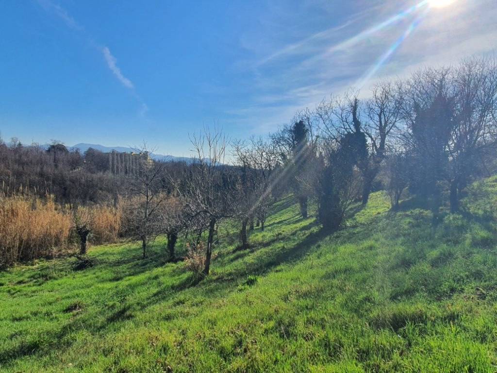 Rustico / casale a Palestrina in Via Agliano - Foto 4
