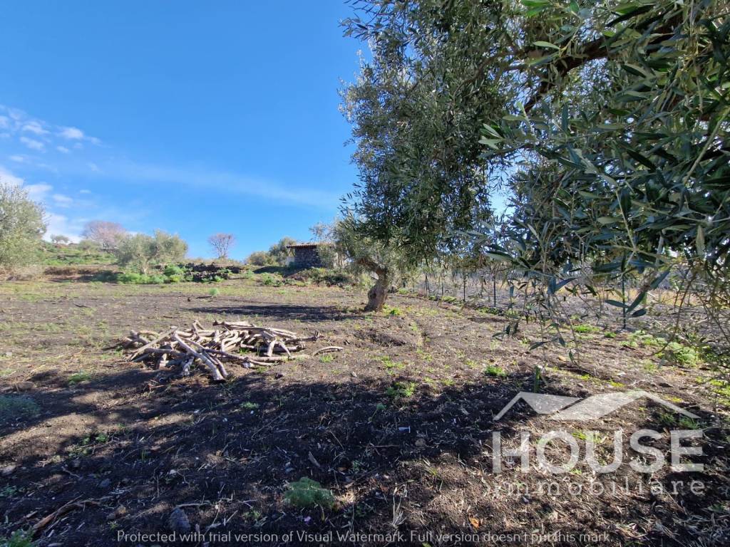 Terreno a Belpasso in strada provinciale 120 - Foto 3