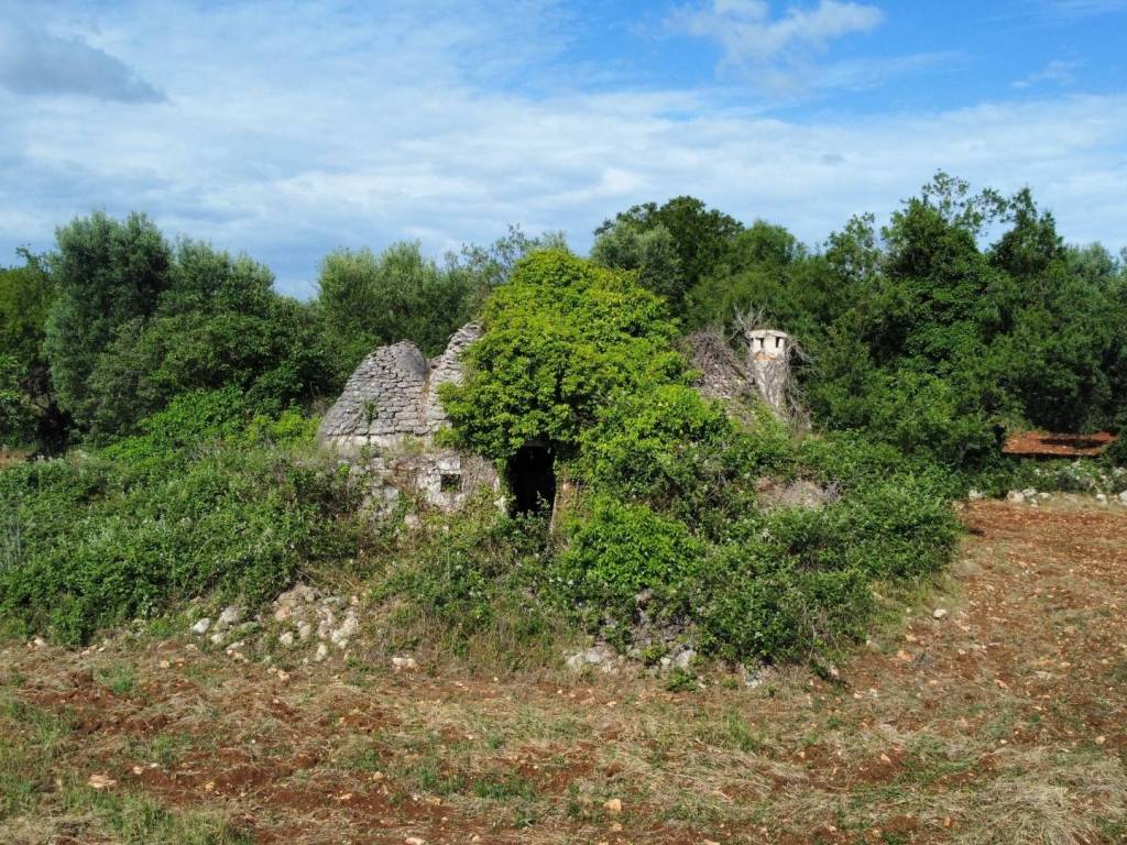 Rustico / casale a Ceglie messapica - Foto 5