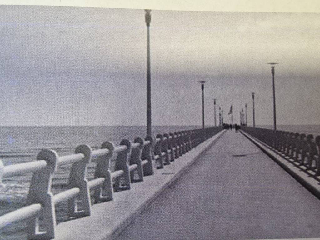 Villa a Forte dei marmi in via allende - Foto 4